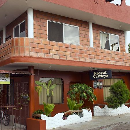 Hostal Cattleya Puerto Baquerizo Moreno Εξωτερικό φωτογραφία