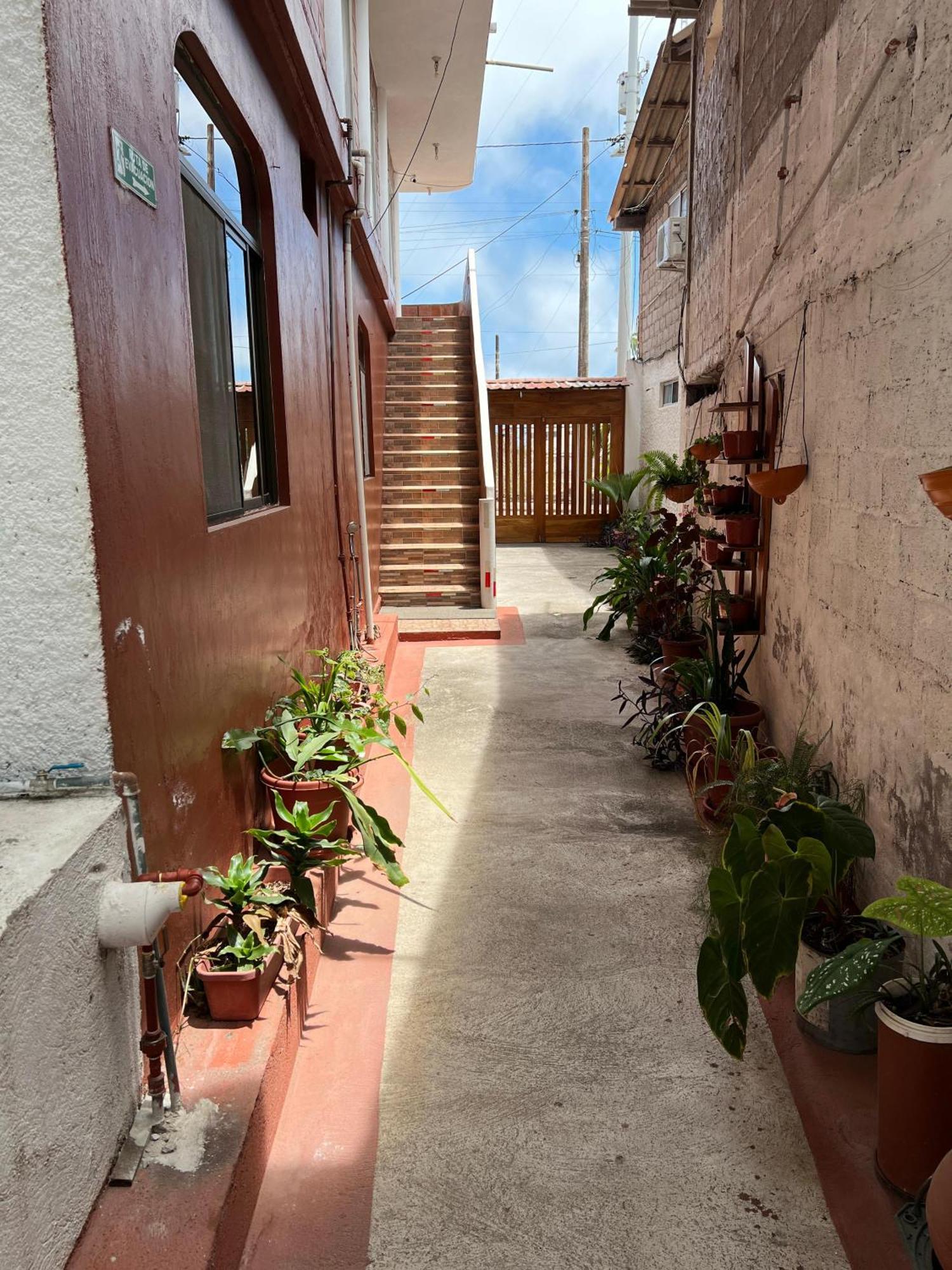 Hostal Cattleya Puerto Baquerizo Moreno Εξωτερικό φωτογραφία