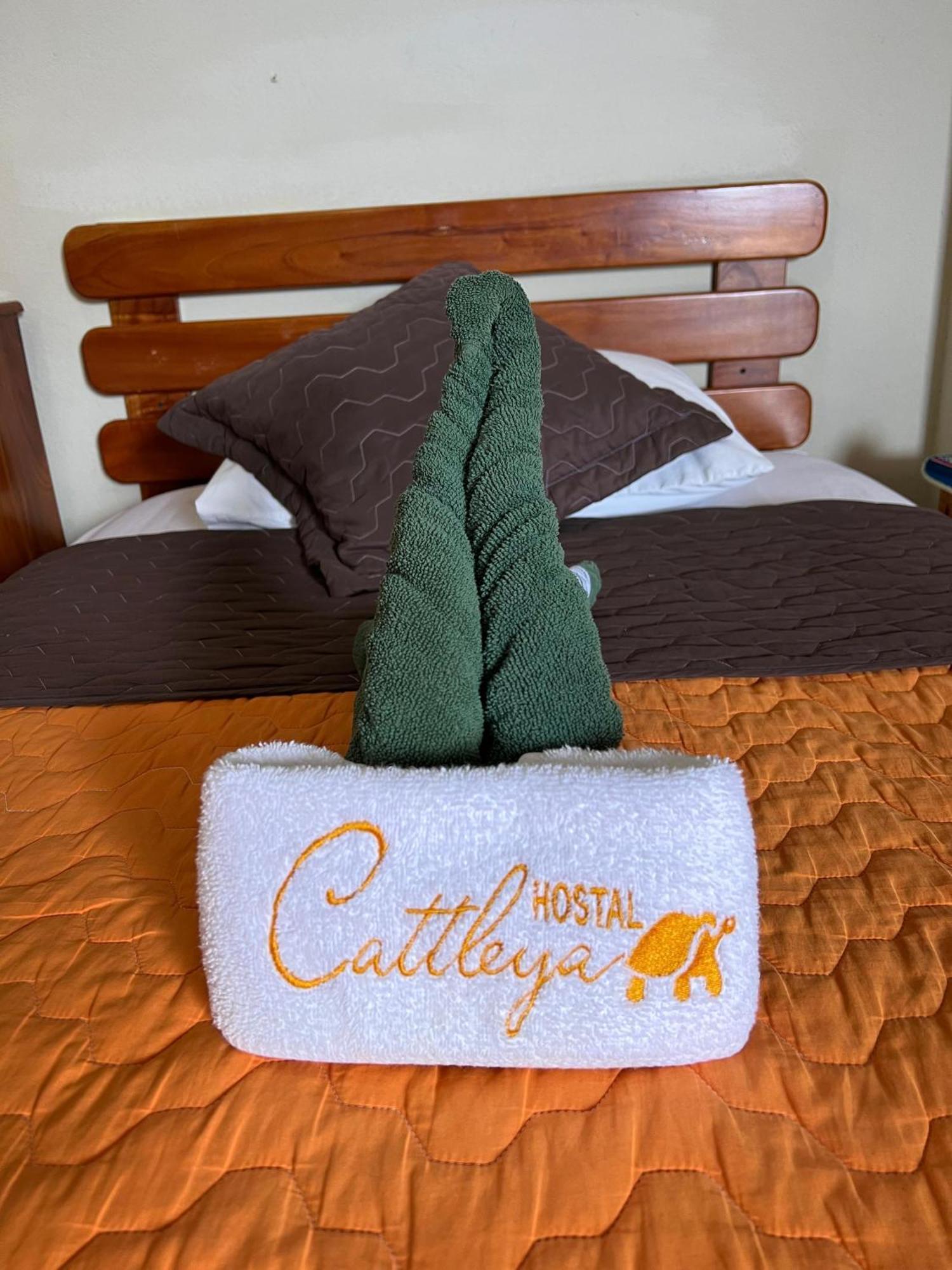 Hostal Cattleya Puerto Baquerizo Moreno Εξωτερικό φωτογραφία